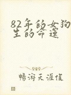 82年的女狗一生的命运