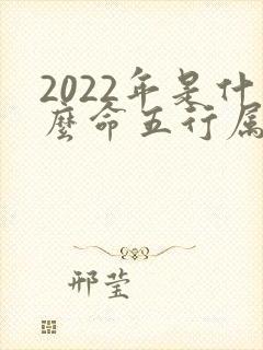 2022年是什么命五行属什么命
