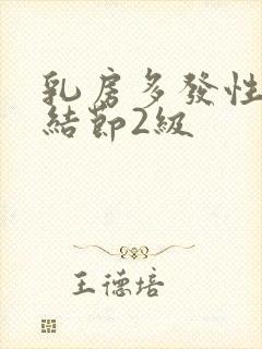 乳房多发性囊性结节2级