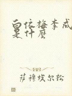 白依梅李成结局是什么