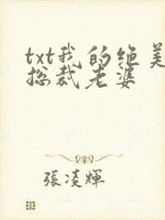 txt我的绝美总裁老婆