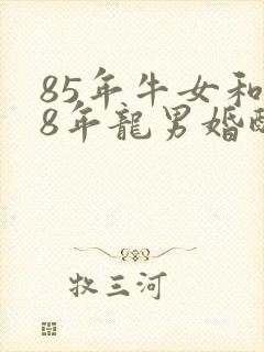 85年牛女和88年龙男婚配怎样封面