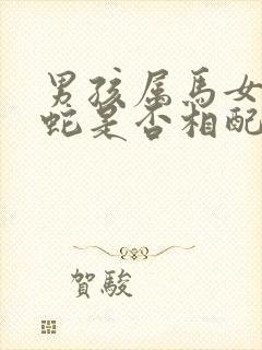 男孩属马女孩属蛇是否相配封面