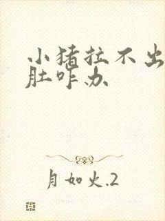 小猪拉不出屎胀肚咋办