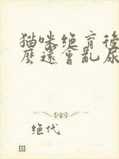 猫咪绝育后为什么还会乱尿封面