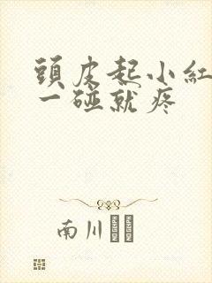 头皮起小红疙瘩一碰就疼封面