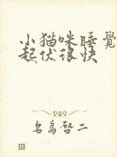 小猫咪睡觉肚子起伏很快封面