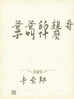 爸爸的亲哥的儿子叫什么