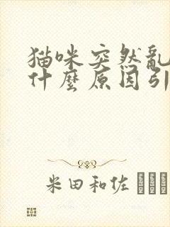 猫咪突然乱尿是什么原因引起的