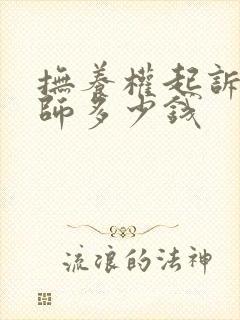 抚养权起诉找律师多少钱封面