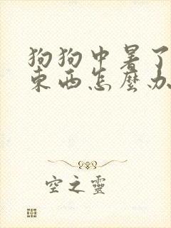 狗狗中暑了不吃东西怎么办