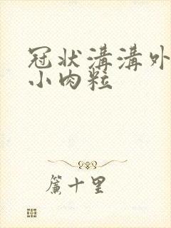 冠状沟沟外围起小肉粒