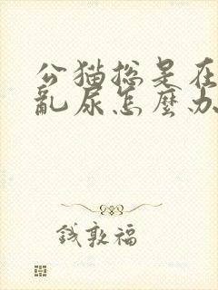 公猫总是在家里乱尿怎么办封面