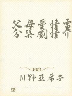 父母爱情电视剧分集剧情介绍