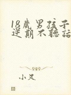 18岁男孩子叛逆期不听话怎么办