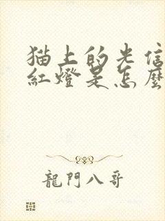 猫上的光信号闪红灯是怎么回事