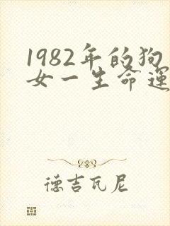 1982年的狗女一生命运封面