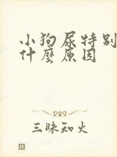 小狗尿特别黄是什么原因