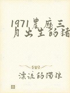 1971农历三月出生的猪命运如何封面