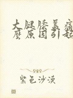 大腿膝盖痛疼什么原因引起的女性