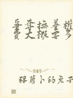 争夺抚养权律师费大概要多少钱