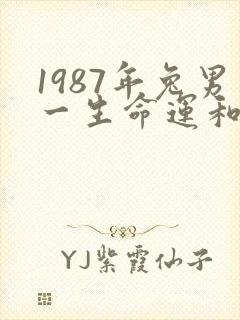 1987年兔男一生命运和婚姻