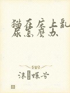 猫在床上乱拉乱尿怎么办