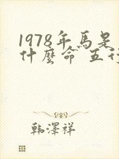 1978年马是什么命 五行属什么属性