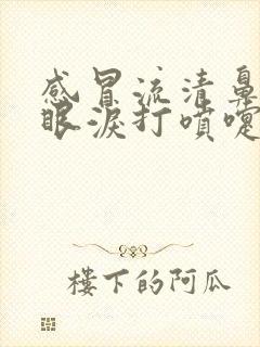 感冒流清鼻涕流眼泪打喷嚏吃啥药