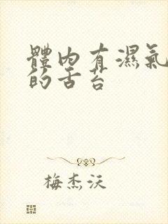 体内有湿气湿热的舌苔