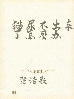 猫尿不出来还吐了怎么办