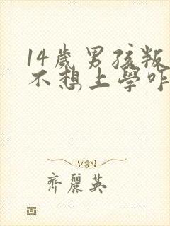 14岁男孩叛逆不想上学咋办