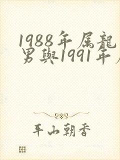 1988年属龙男与1991年属羊女婚配