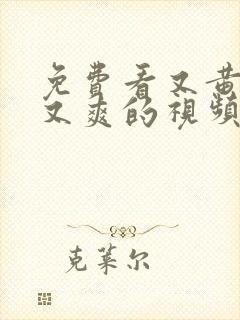 免费看又黄又骚又爽的视频封面