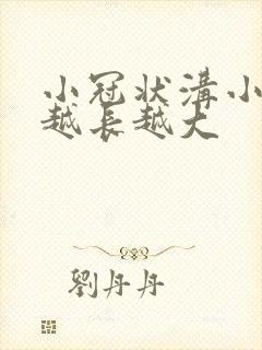 小冠状沟小肉粒越长越大