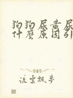 狗狗尿黄尿血是什么原因引起的