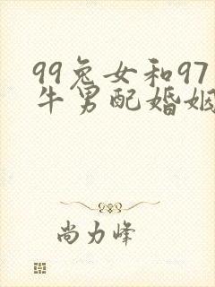 99兔女和97牛男配婚姻好不好