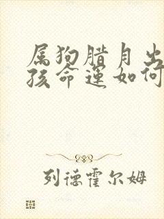 属狗腊月出生男孩命运如何封面