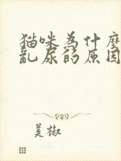 猫咪为什么乱拉乱尿的原因封面