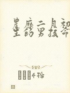 农历二月初七出生的男孩命运