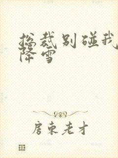 总裁别碰我 韩降雪