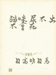 猫咪尿不出来会不会死