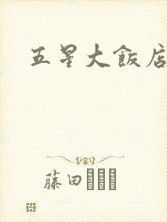 五星大饭店小说