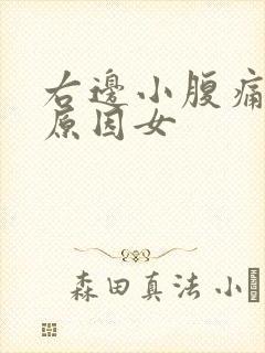 右边小腹痛什么原因女