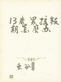 13岁男孩叛逆期怎么办