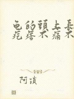 龟的头上长白色疙瘩不痛不痒