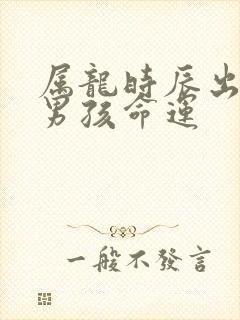 属龙时辰出生的男孩命运