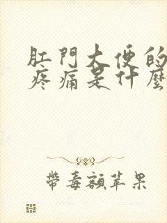 肛门大便的时候疼痛是什么原因封面