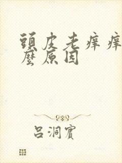 头皮老痒痒是什么原因