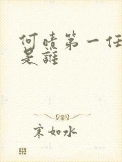 何晴第一任丈夫是谁